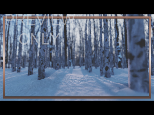 Christmas Joy: Still Trees 02