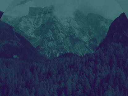 Epic Spring Aerial Dark Teal Purple