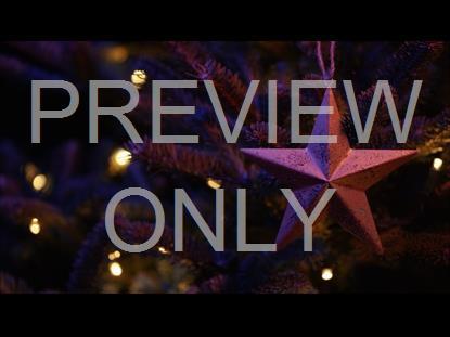 Christmas Pines Star Ornament