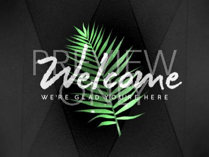 Palm Leaf Welcome Still