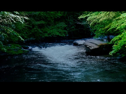 River Wild 2
