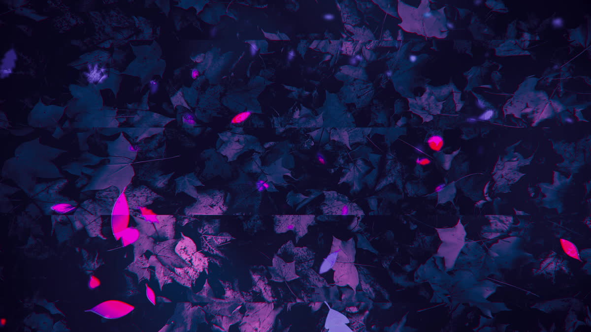 Autumn Memories 9