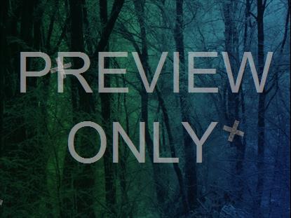 Blue Green Snowy Forest Crosses
