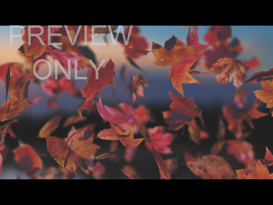 Harvest Still 04