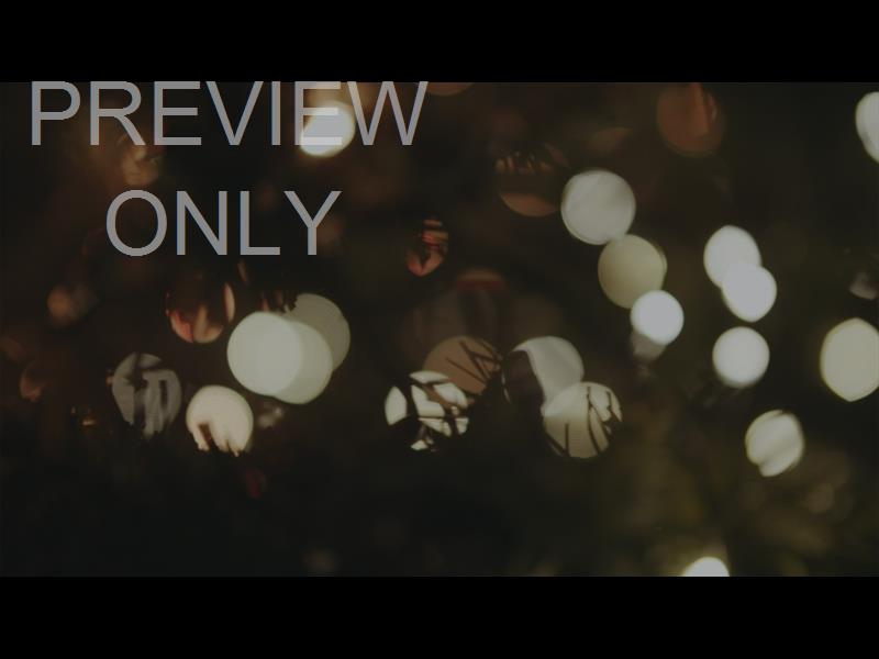 Christmas Lights: 01 Still