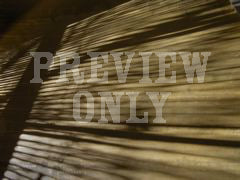 Shadow Cast 1