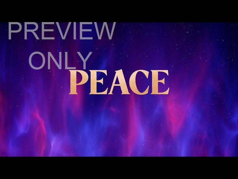 Christmas Wonder Peace Still