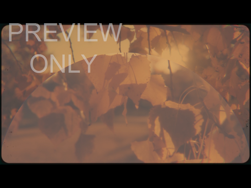 Vintage Fall Still 04