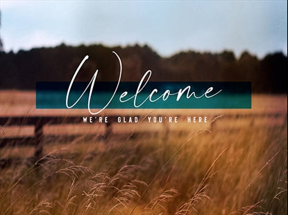 Amber Fields Welcome