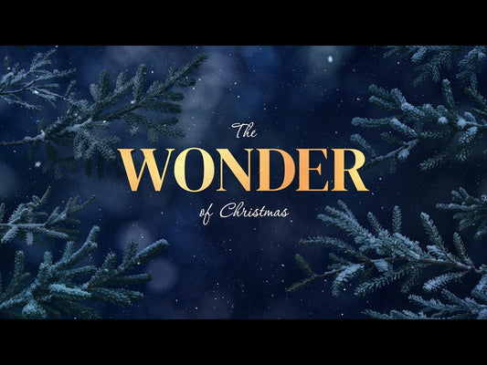 Christmas Wintertide Wonder