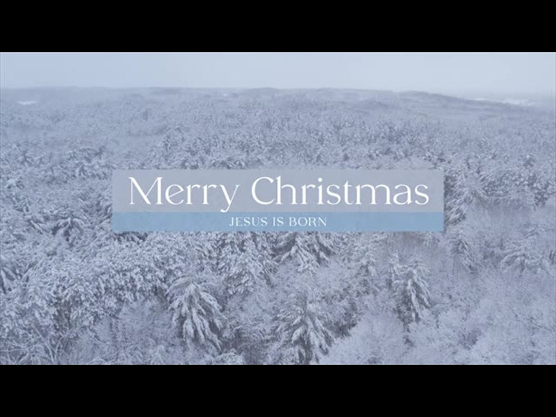 Winter Woods Merry Christmas
