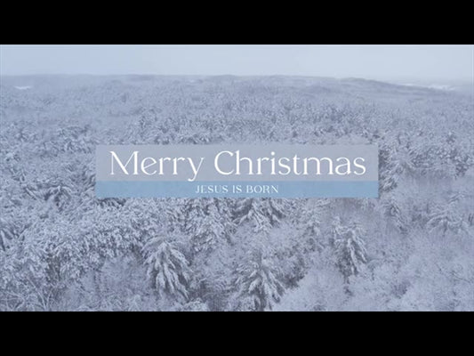 Winter Woods Merry Christmas