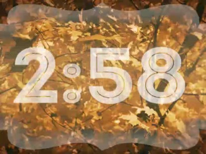 Autumn Forestry 3 Minute Countdown