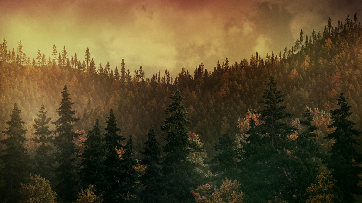 Ridgeline Fall 5