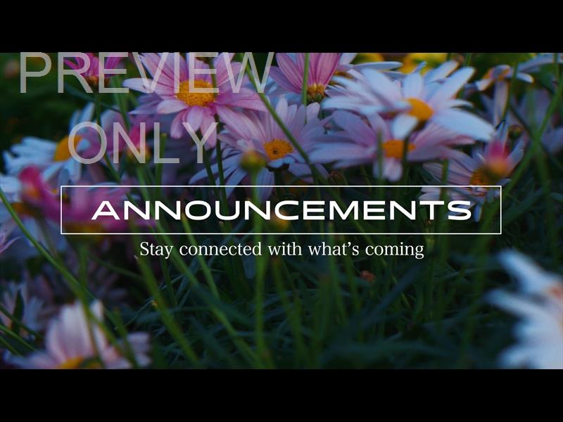 Springs Embrace Announcements Still