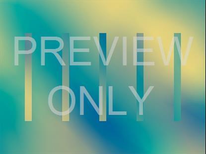 Neon Summer 15 Remix Still