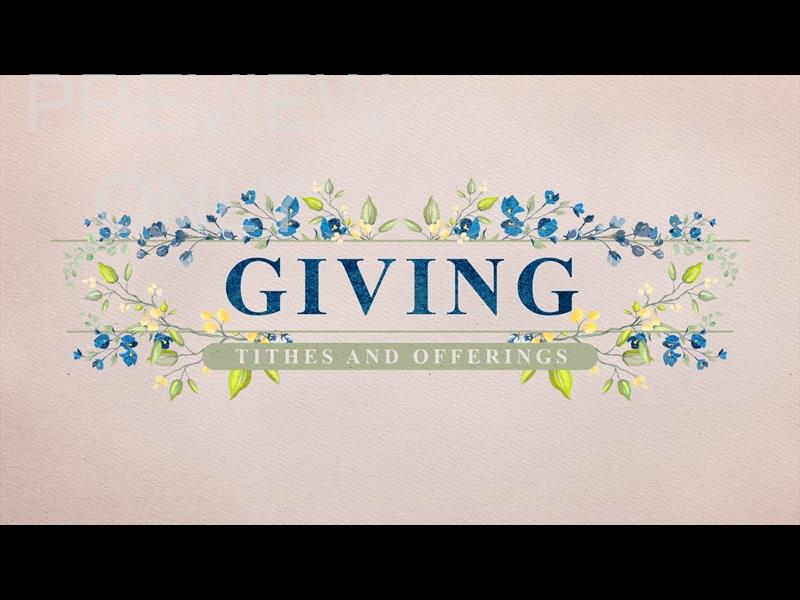 Petite Flower: Still Giving