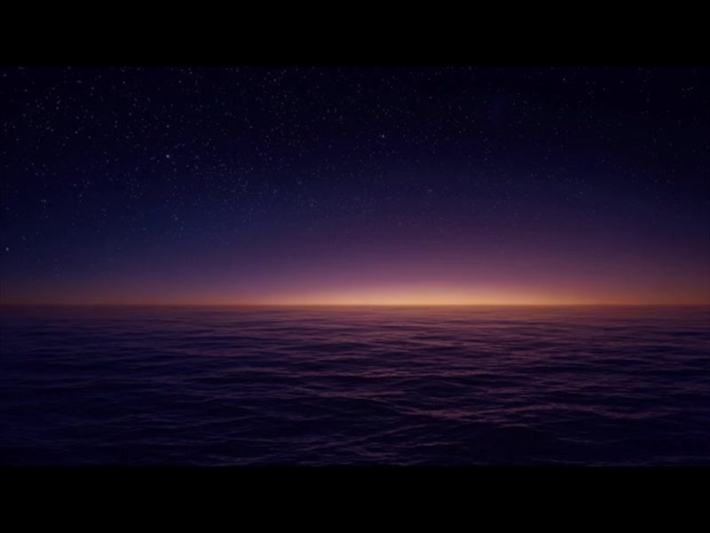 Seascape Purple Starry Night