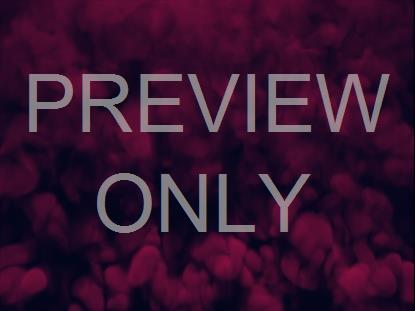 Vapor Rising Magenta Slow