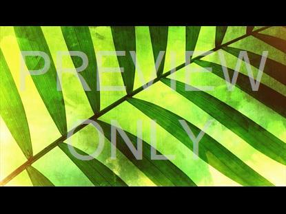 Palm Sunday 1 Graphic