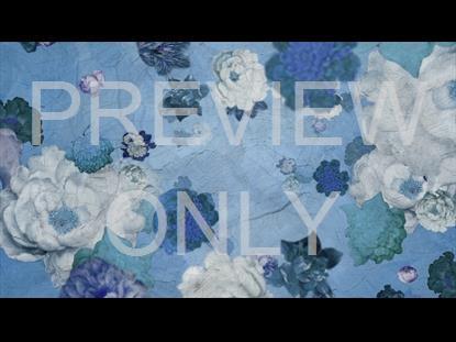 Who You Say I Am Still 4