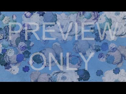 Who You Say I Am Still 2