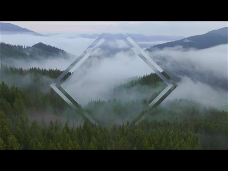 Misty Pines Rolling Hills