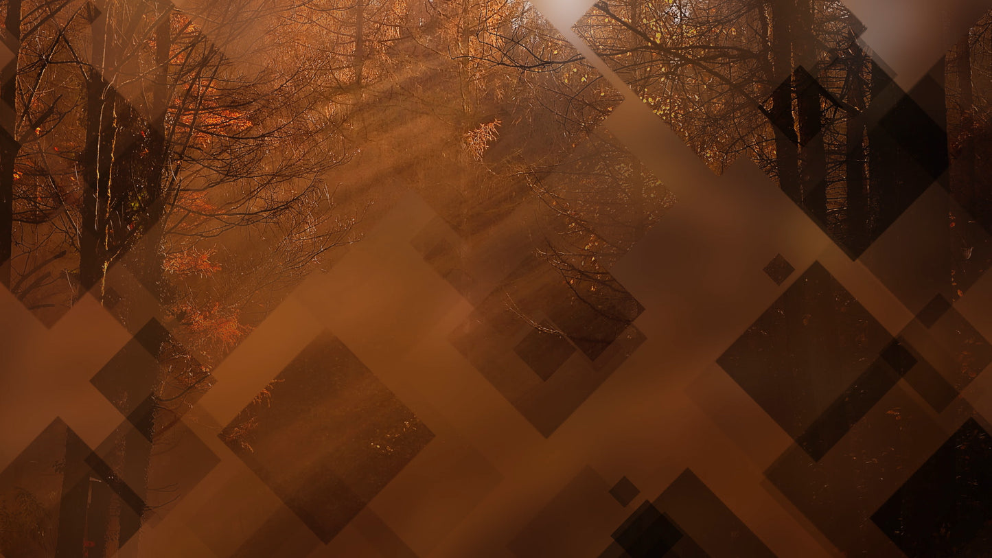 Autumn Journey 10 Still