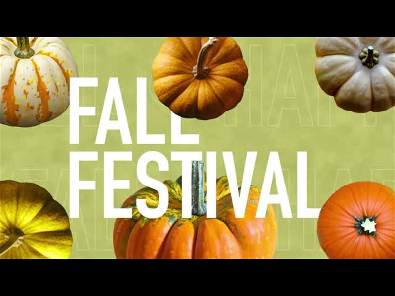 Multi Pumpkin Fall Festival