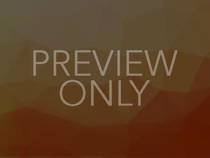 Geometric Colors Orange Still