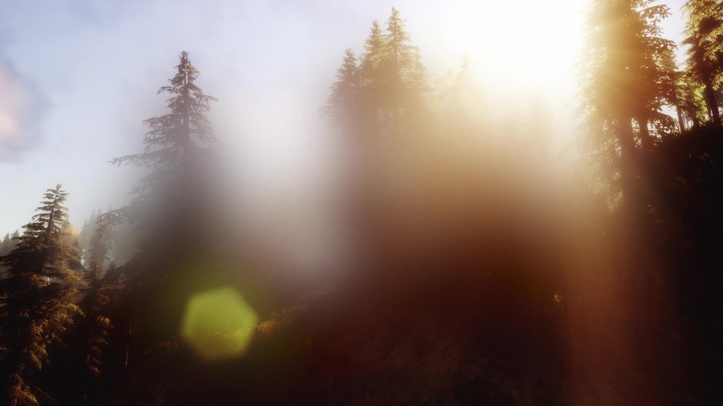 New Beginning Trees Still