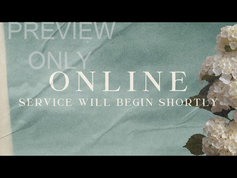Hydrangea Online Still
