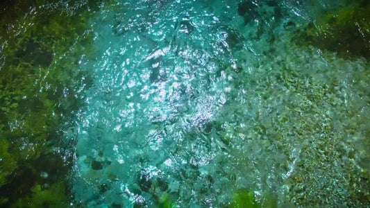 Blue Eye 11 Still