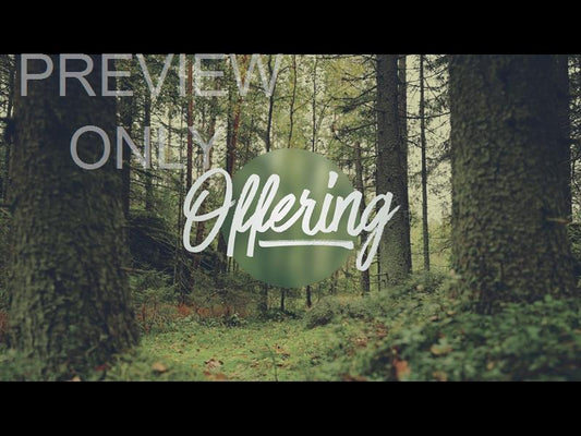 Deep Forest Offering Still