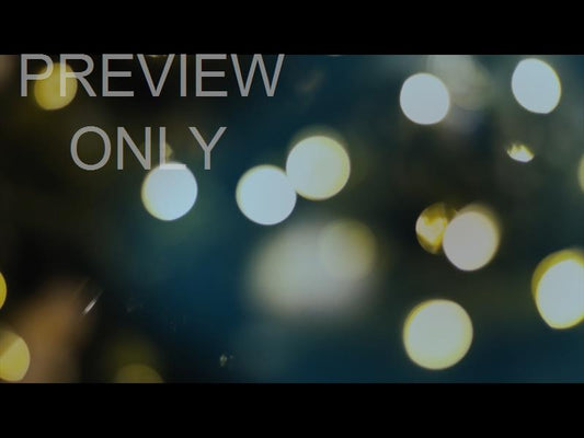 Bright And Beautiful Still 11