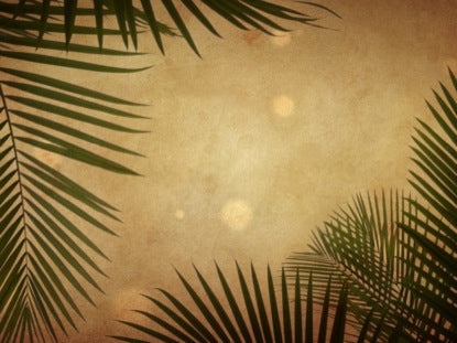 Palm Sunday Grunge Warm