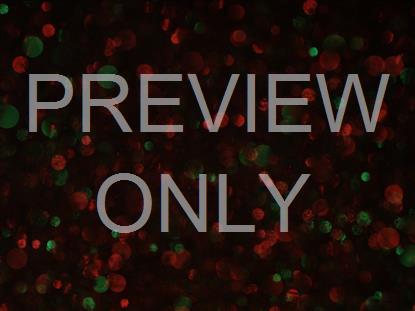 Christmas Glitter Slow Lights