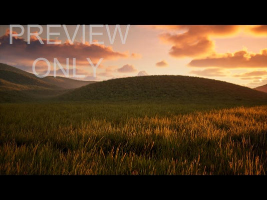 Prairie Grass Hill Sunset Still