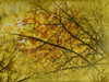 Grunge Fall Motion Background 4