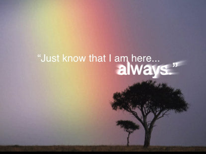 The Interview With God