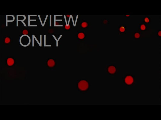 Christmas Lights: 09 Still