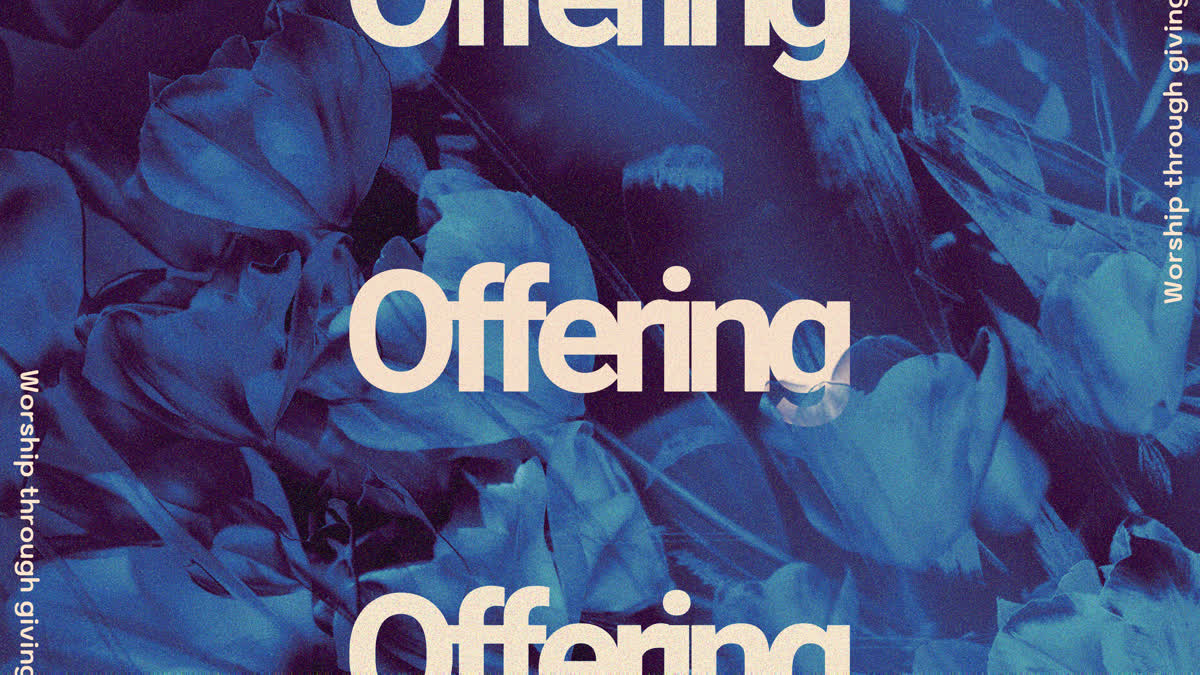 Hyper Bloom Offering Still