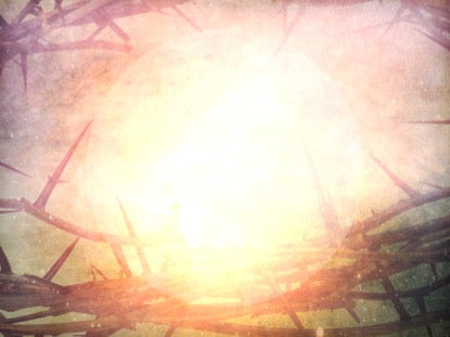 Easter Thorns 1 Motion