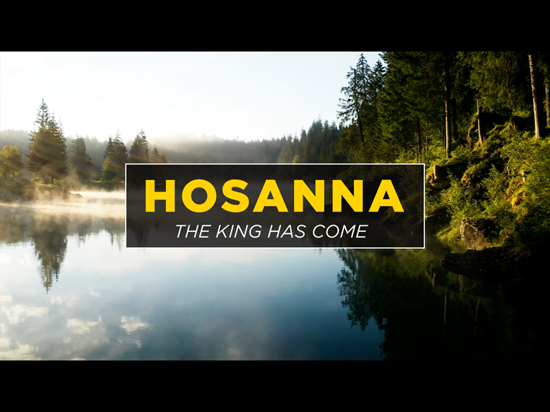 Hosanna! The King Has Come