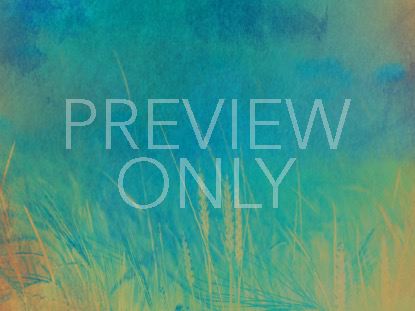 Inspiring  2 Still