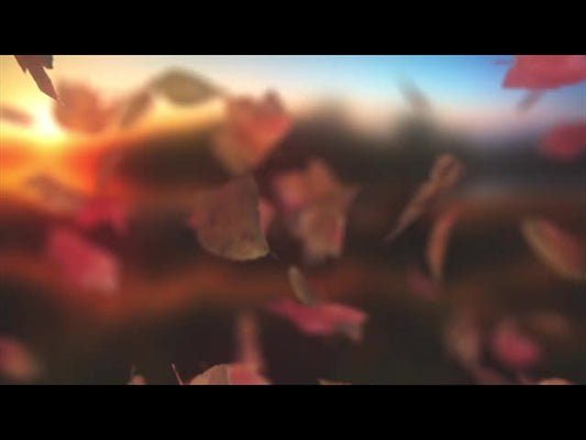 Harvest Falling 02