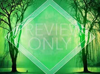 Autumn Forest 5 Still