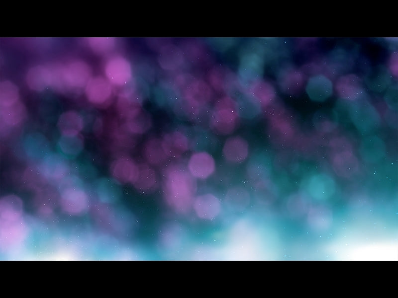 Christmas Light: 16