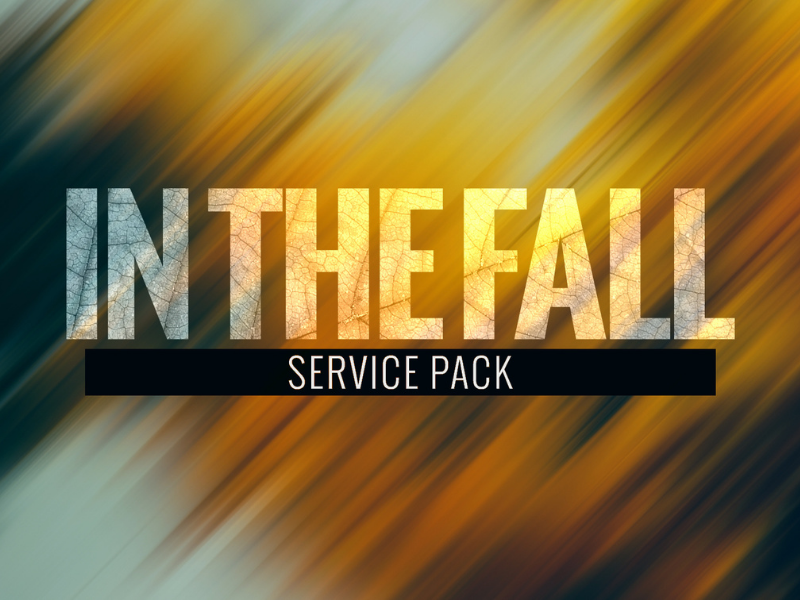 In The Fall Service Pack