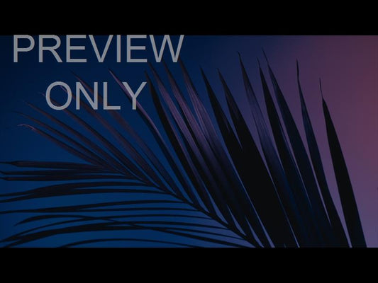 Cinematic Palms Still 1